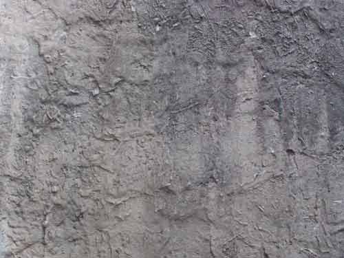 cement wall - Texture - ShareCG