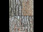 Ecorce/Tree bark Pack 1- 1000x1333