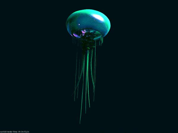  Jellyfish  3D Model  ShareCG