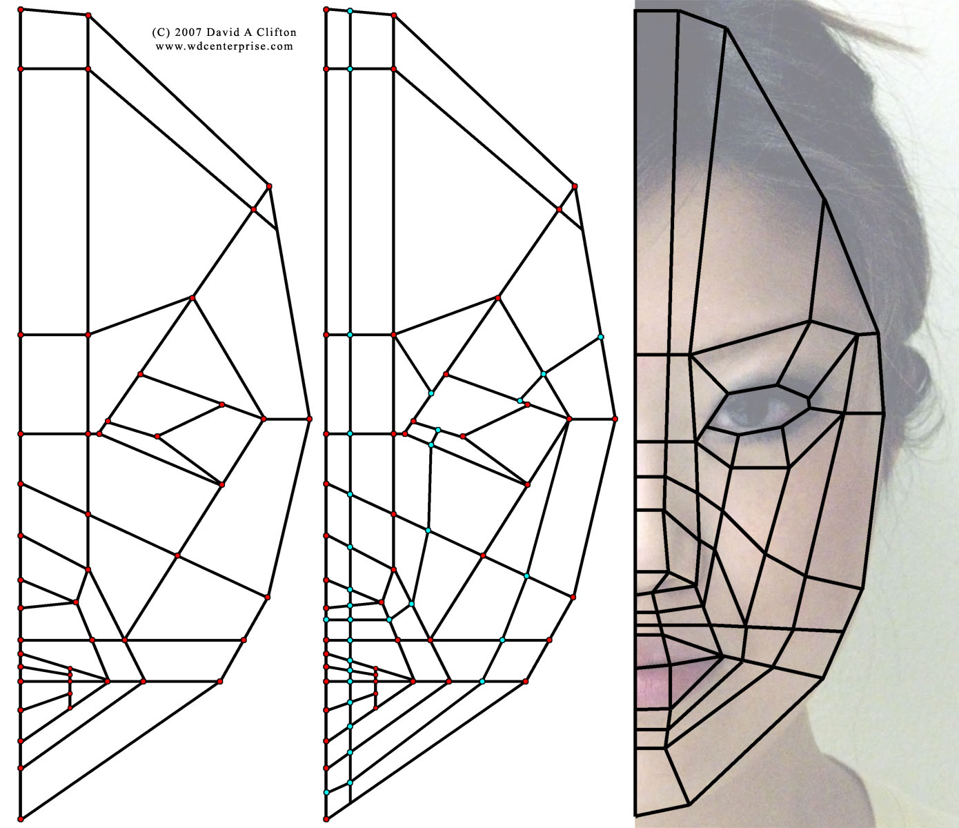 Human Head 3D Model Topology - PDF Tutorial - ShareCG